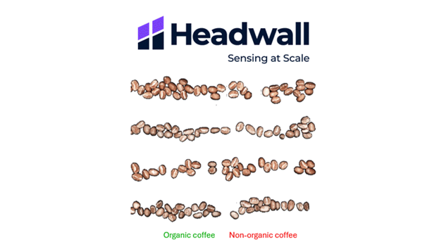 Imagen de granos de café